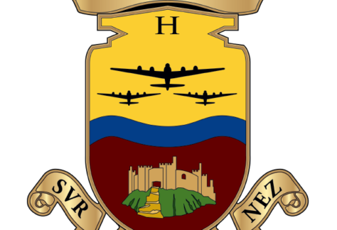the 390th bomb group emblem